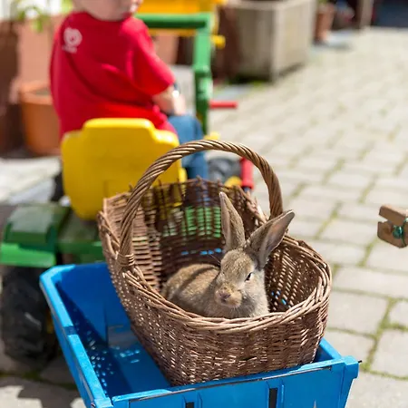 Biohof Besenbaeck Apartament Rappottenstein
