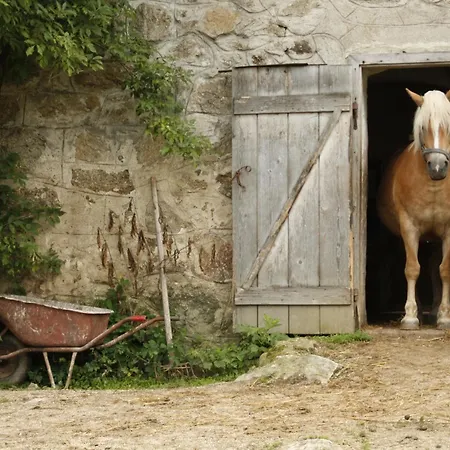 Apartament Biohof Besenbaeck Rappottenstein