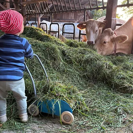 Biohof Besenbaeck Apartament