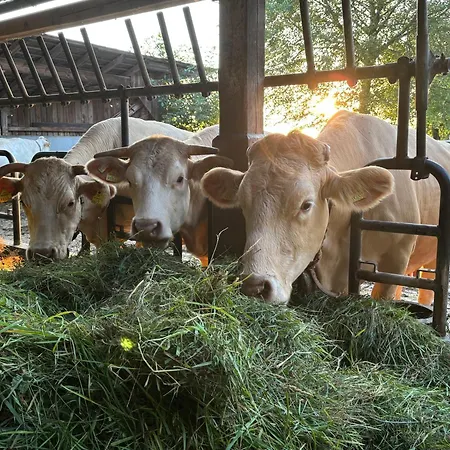 Apartament Biohof Besenbaeck