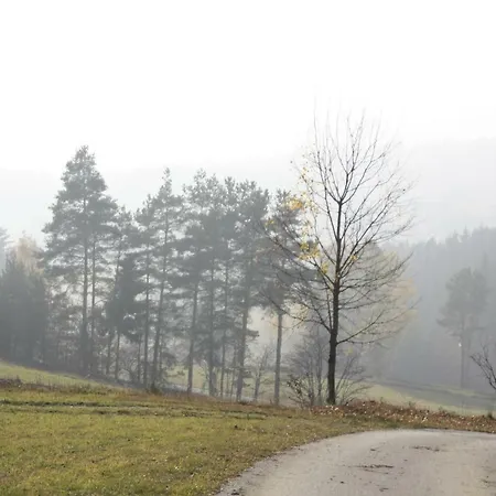 Biohof Besenbaeck Apartament *