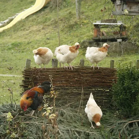 Biohof Besenbaeck Rappottenstein