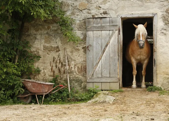 Lägenhet Biohof Besenbäck Rappottenstein