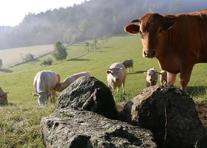 Biohof Besenbaeck * Rappottenstein