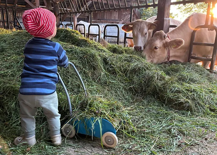 Biohof Besenbäck Lägenhet