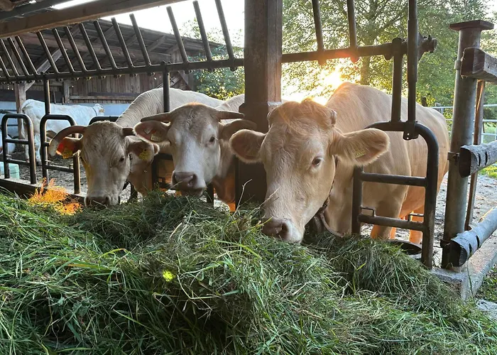 Lägenhet Biohof Besenbäck