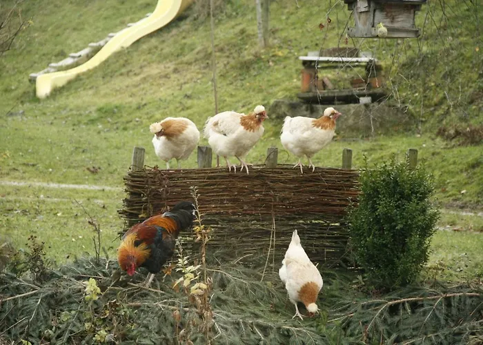 Biohof Besenbäck Rappottenstein