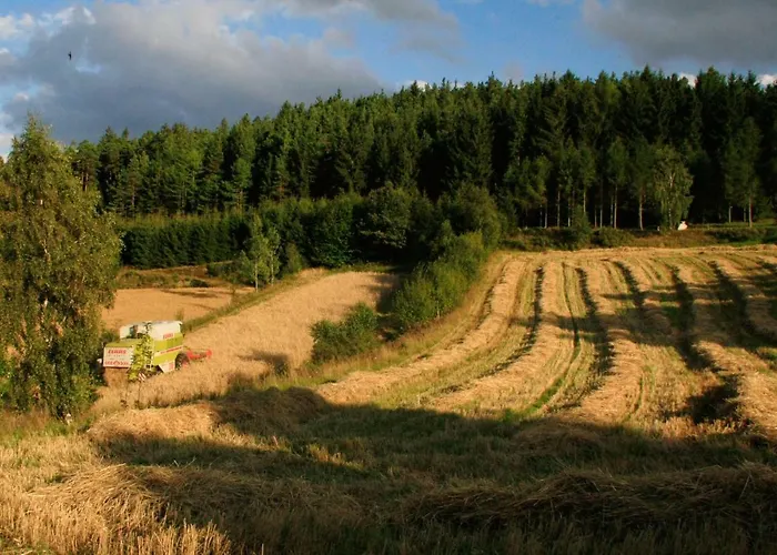 Biohof Besenbaeck Appartement